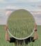 A mirror reflecting the vast, serene wheat field under a cloudy sky, creating a surreal and peaceful scene.