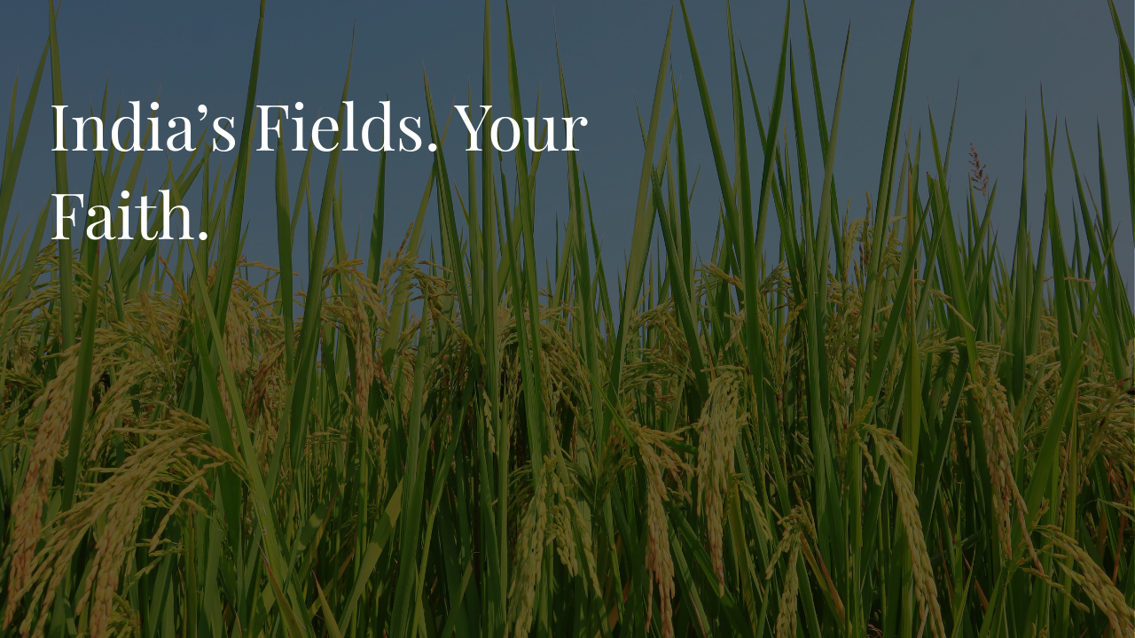 home image farmer (3)